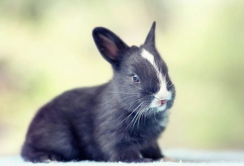 Du kommer aldrig gissa vad som hände med den här konstiga bebisen bara 30 dagar senare.
