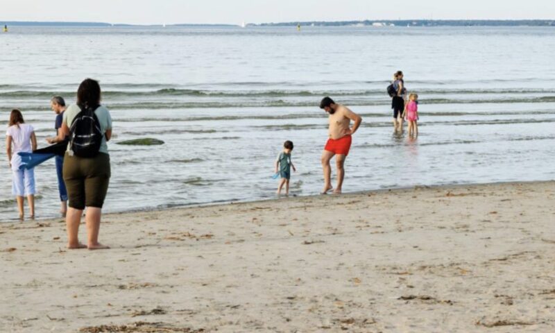 Flickvännerna kopplade av på stranden när en hund sprang fram till dem och började skälla högt: plötsligt blev en av kvinnorna blek och tittade noga på hundens päls.