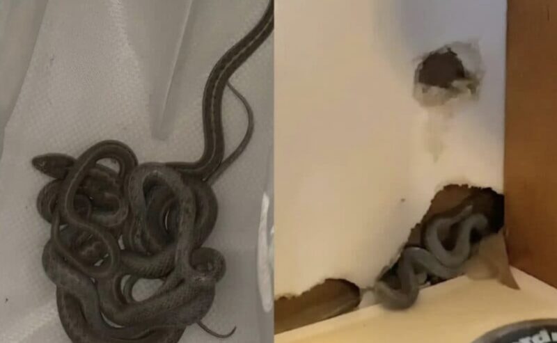 Min son hörde konstiga ljud komma bakom spegeln i sitt rum, men vi trodde honom inte förrän vi själva kollade det en dag och såg något hemskt.