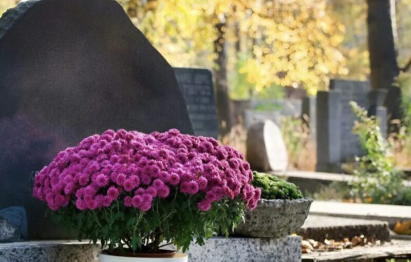 Ett år hade gått sedan min fru gick bort, men någon lämnade blommor vid hennes grav varje vecka: en dag bestämde jag mig för att ta reda på vem som kom med blommorna.