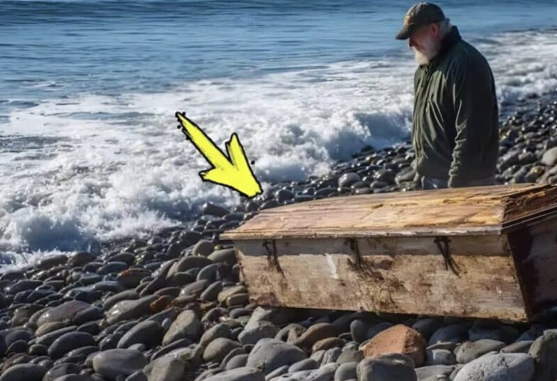 En fiskare hittade en gammal metallkista på stranden tidigt på morgonen: när han öppnade kistan och frös till vid synen.