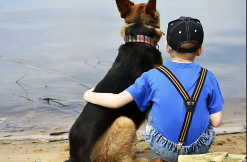 Före operationen kramade pojken sin hund, men plötsligt hoppade hunden av sängen och attackerade en av läkarna: alla blev förskräckta och insåg orsaken till hundens konstiga beteende.