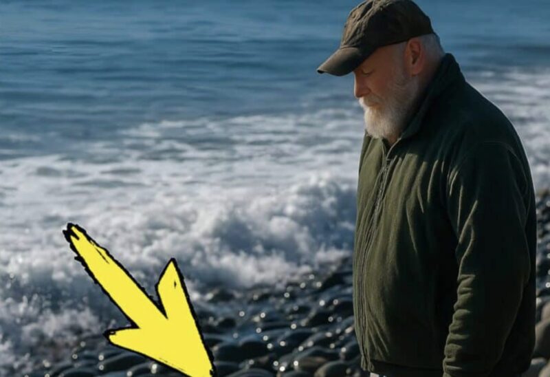 En fiskare hittade en gammal metallkista på stranden tidigt på morgonen: när han öppnade kistan och frös till vid synen.