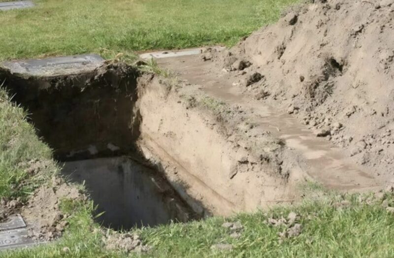 Under begravningen dök en häst upp från skogen och sprang rakt mot kistan: de närvarande blev chockade över att få veta varför djuret gjorde detta.