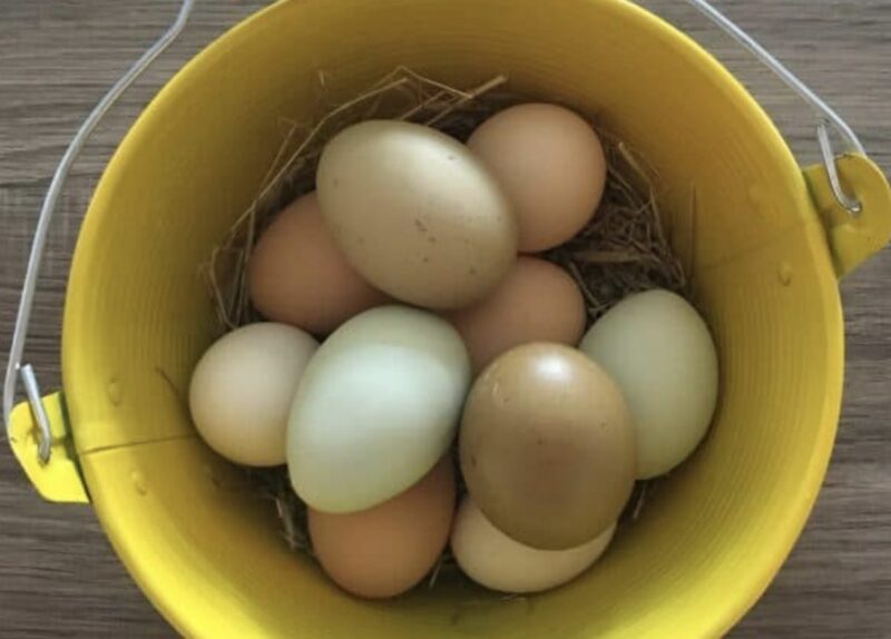 En mormor sålde ägg på marknaden när en lokal huligan kom fram till henne och slog sönder hennes varor. Alla blev chockade när en ung man i kostym ingrep.