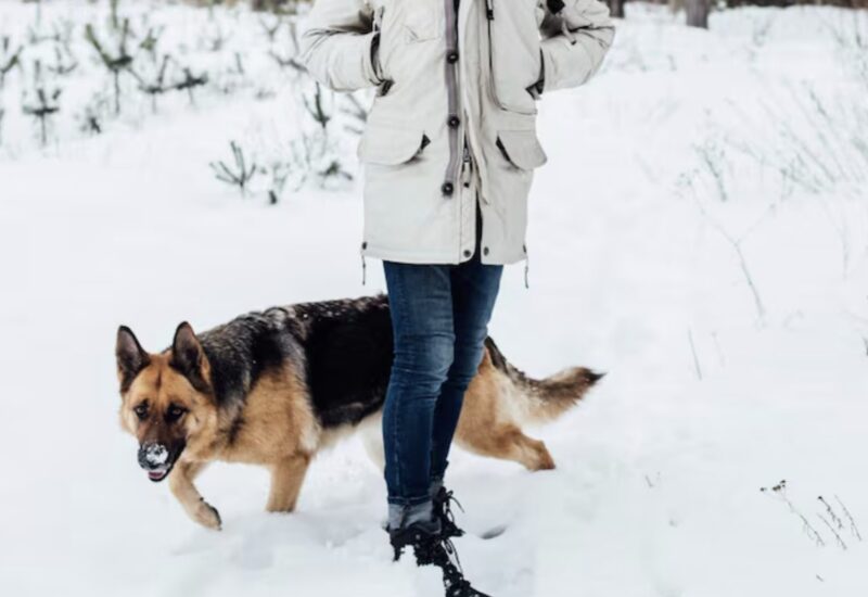 "Hon knöts med dragkedja, fick munkavle och lämnades att frysa i en vält polisbil ... Tills en veteran följde sin instinkt in i en dödlig snöstorm"