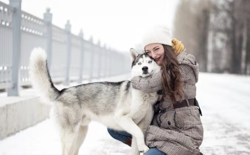 När en dekorerad soldat litade på sin hund framför en perfekt polis, avslöjade han ett dolt nätverk av fosterhemsmänniskosmugglare som nästan kostade ett oskyldigt barn livet.