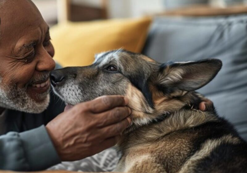 Ensam i rum 314 låg jag och väntade på att mitt hjärta skulle svikta. Plötsligt bröt en nittio kilo tung hund märkt "monster" av sin kedja och stormade min säng – bara för att göra något så oväntat att hela sjukhuspersonalen grät.