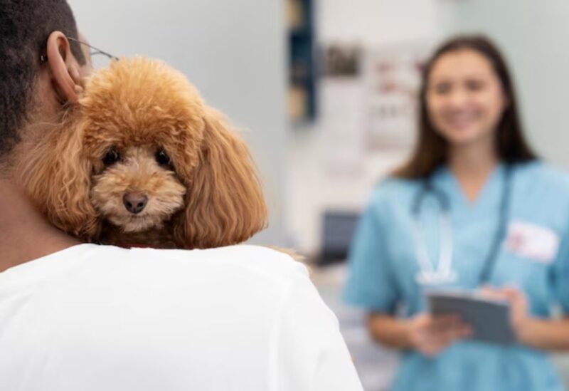 Han stannade utanför intensivvårdsavdelningen i tre dagar – när läkarna äntligen lyssnade insåg de att hunden aldrig väntade