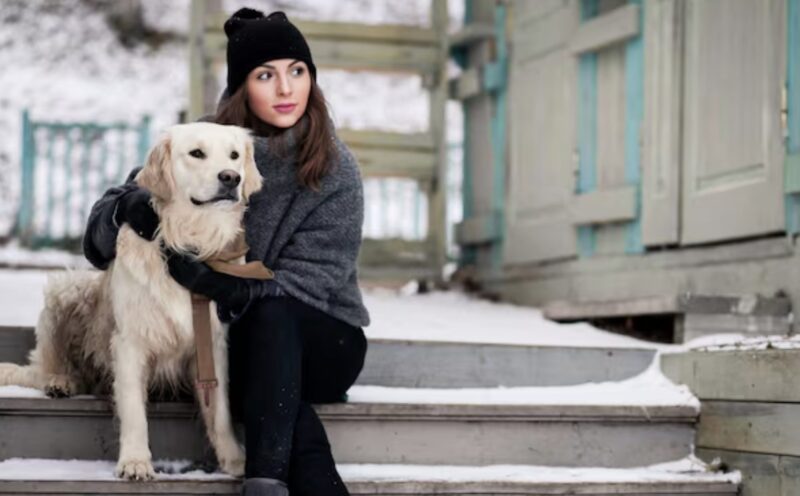 När en dekorerad soldat litade på sin hund framför en perfekt polis, avslöjade han ett dolt nätverk av fosterhemsmänniskosmugglare som nästan kostade ett oskyldigt barn livet.