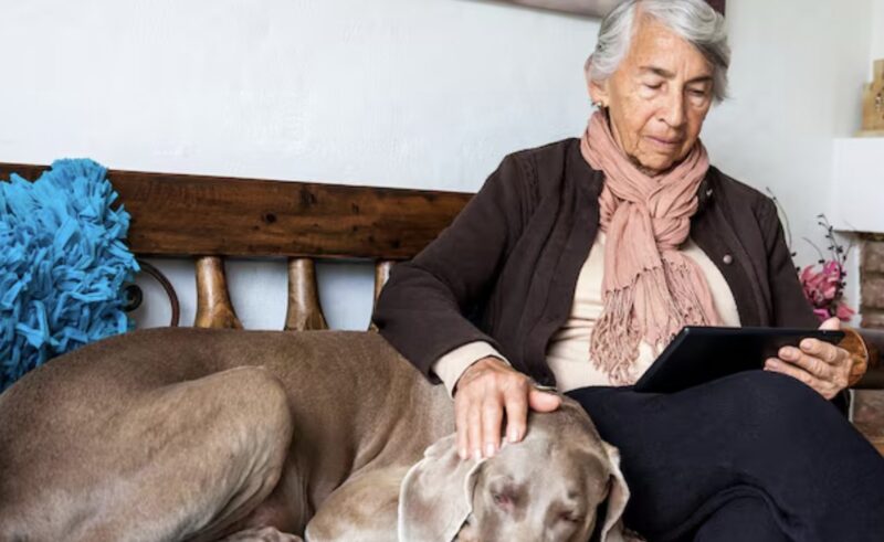”Herrn… min hund har samma tatuering som du”, sa någon och avslöjade en tyst koppling som chockade alla närvarande och avslöjade en soldats sedan länge bortglömda löfte, ett dolt förflutet och en stor skuld han aldrig förväntade sig att möta igen.