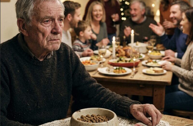 På min sjuttioårsdag ställde min son en skål med hundmat framför mig och skrattade: ”Snåla behöver också middag.” Alla vid mitt bord stelnade till.
